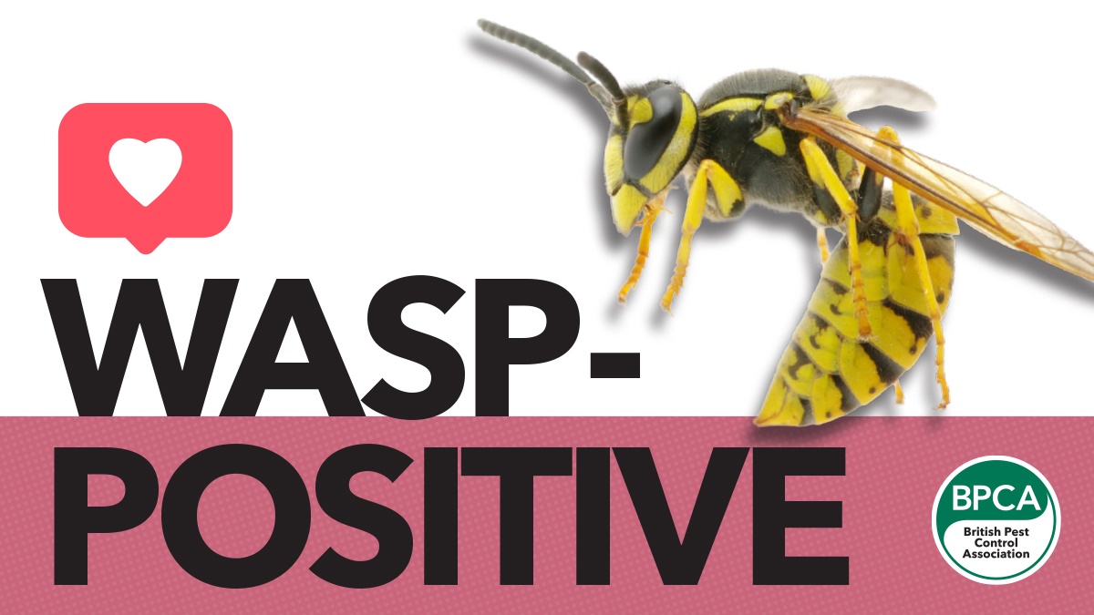 Wasp positive hero